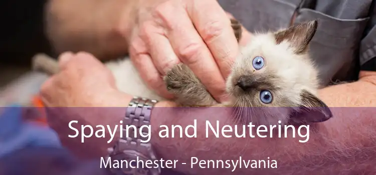 Spaying and Neutering Manchester - Pennsylvania