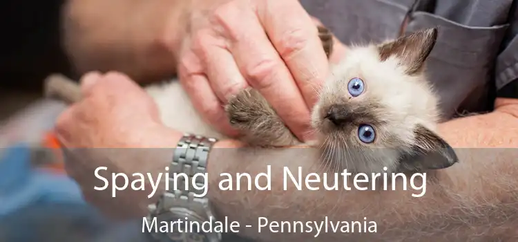 Spaying and Neutering Martindale - Pennsylvania