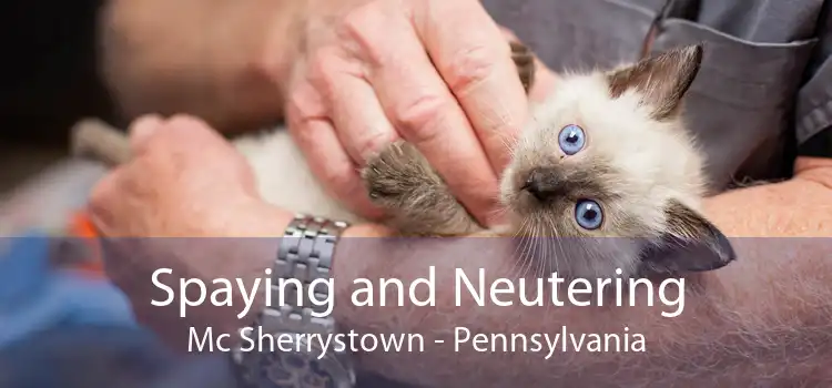 Spaying and Neutering Mc Sherrystown - Pennsylvania