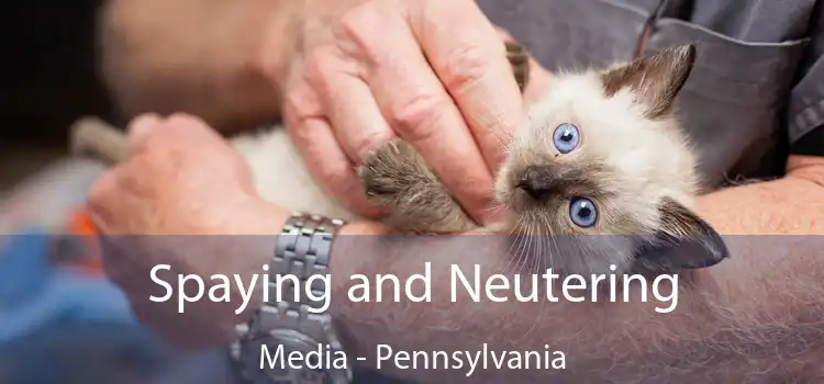 Spaying and Neutering Media - Pennsylvania