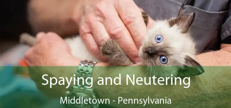 Spaying and Neutering Middletown - Pennsylvania