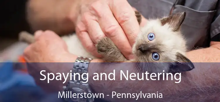 Spaying and Neutering Millerstown - Pennsylvania