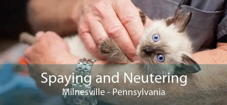 Spaying and Neutering Milnesville - Pennsylvania