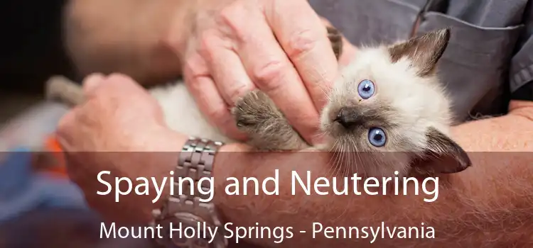 Spaying and Neutering Mount Holly Springs - Pennsylvania