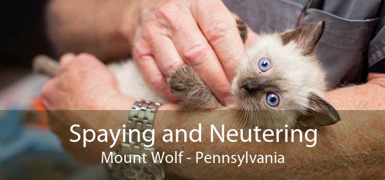 Spaying and Neutering Mount Wolf - Pennsylvania