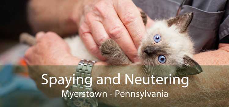 Spaying and Neutering Myerstown - Pennsylvania