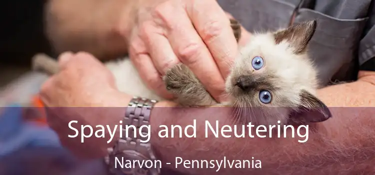 Spaying and Neutering Narvon - Pennsylvania