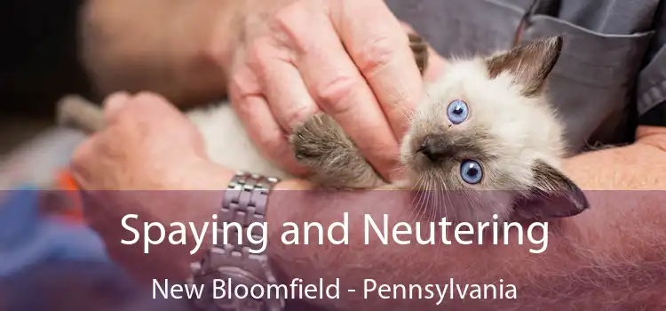 Spaying and Neutering New Bloomfield - Pennsylvania
