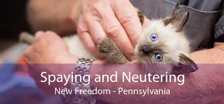Spaying and Neutering New Freedom - Pennsylvania