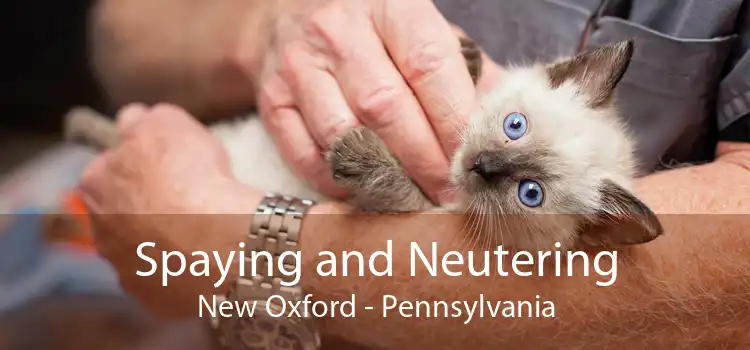 Spaying and Neutering New Oxford - Pennsylvania