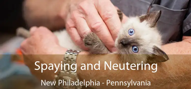 Spaying and Neutering New Philadelphia - Pennsylvania