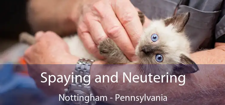 Spaying and Neutering Nottingham - Pennsylvania