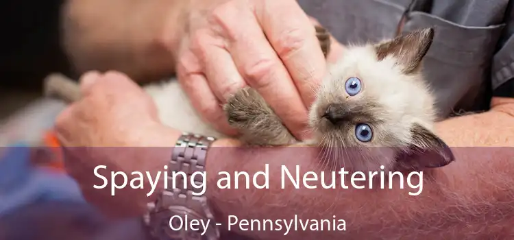 Spaying and Neutering Oley - Pennsylvania