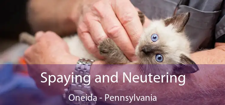 Spaying and Neutering Oneida - Pennsylvania