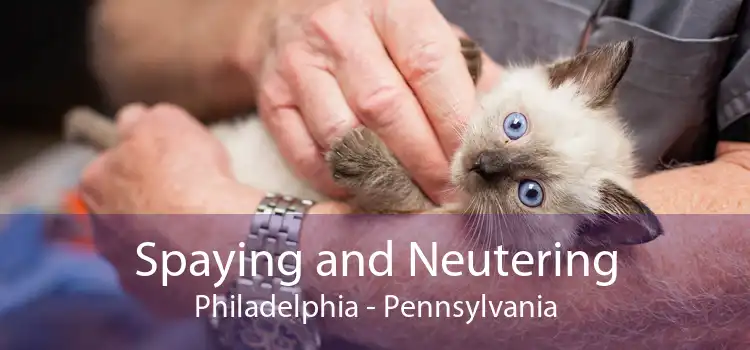 Spaying and Neutering Philadelphia - Pennsylvania