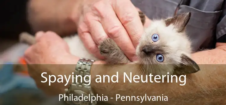 Spaying and Neutering Philadelphia - Pennsylvania