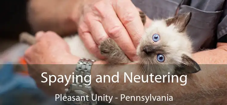 Spaying and Neutering Pleasant Unity - Pennsylvania