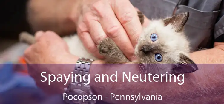 Spaying and Neutering Pocopson - Pennsylvania