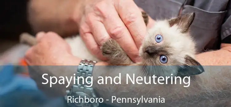 Spaying and Neutering Richboro - Pennsylvania