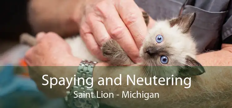 Spaying and Neutering Saint Lion - Michigan