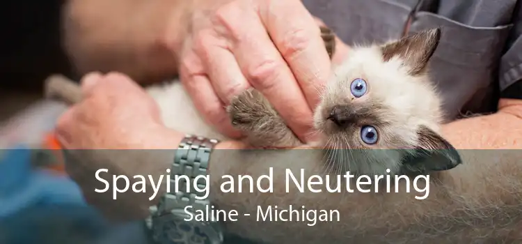 Spaying and Neutering Saline - Michigan