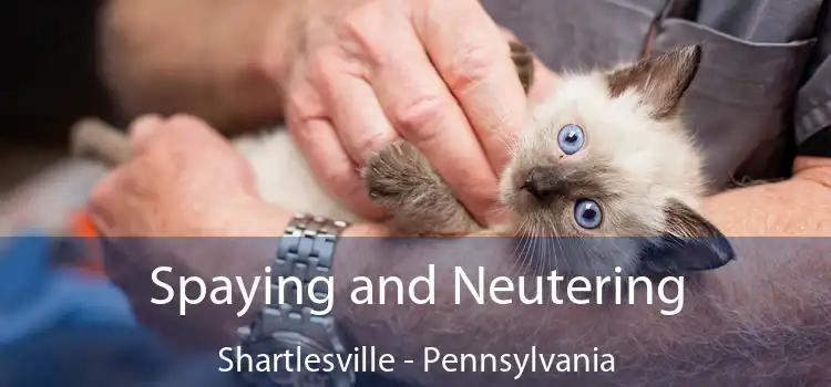 Spaying and Neutering Shartlesville - Pennsylvania