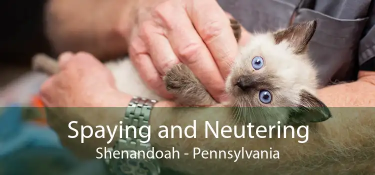 Spaying and Neutering Shenandoah - Pennsylvania