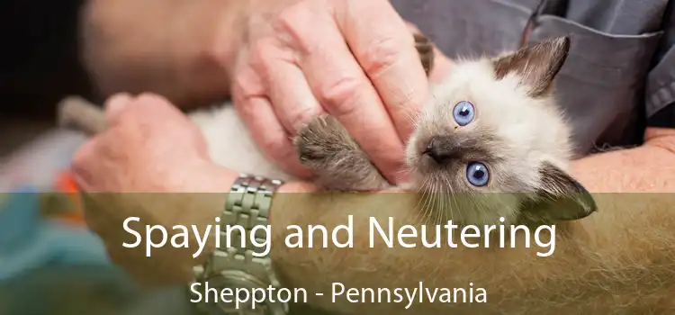 Spaying and Neutering Sheppton - Pennsylvania