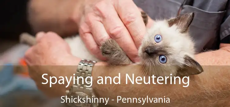 Spaying and Neutering Shickshinny - Pennsylvania
