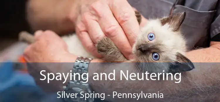 Spaying and Neutering Silver Spring - Pennsylvania