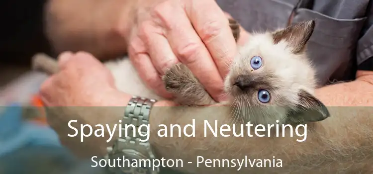 Spaying and Neutering Southampton - Pennsylvania