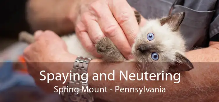 Spaying and Neutering Spring Mount - Pennsylvania
