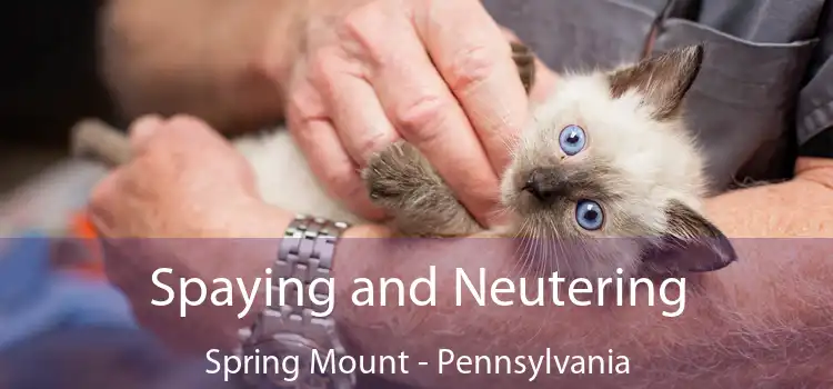 Spaying and Neutering Spring Mount - Pennsylvania
