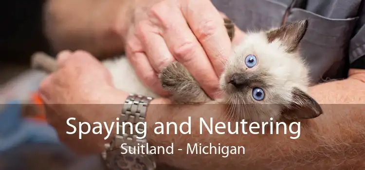 Spaying and Neutering Suitland - Michigan