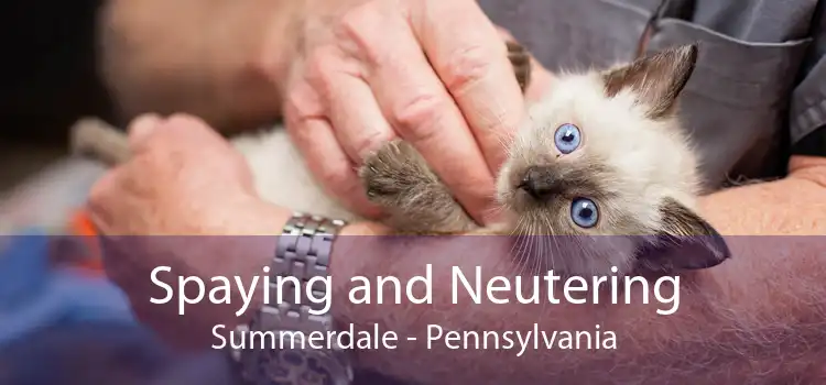 Spaying and Neutering Summerdale - Pennsylvania