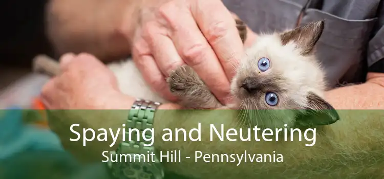 Spaying and Neutering Summit Hill - Pennsylvania