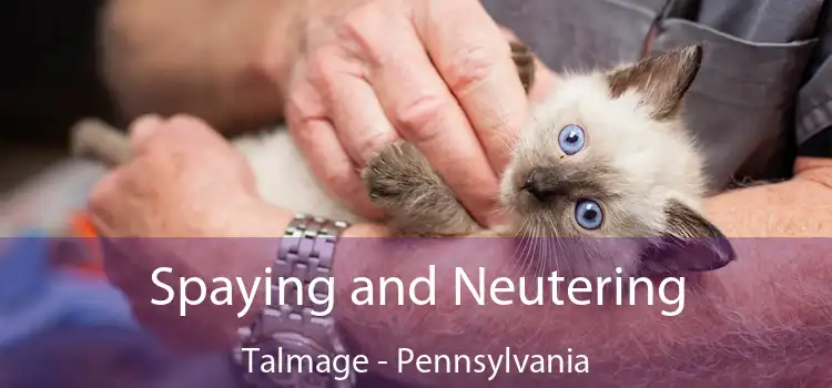 Spaying and Neutering Talmage - Pennsylvania