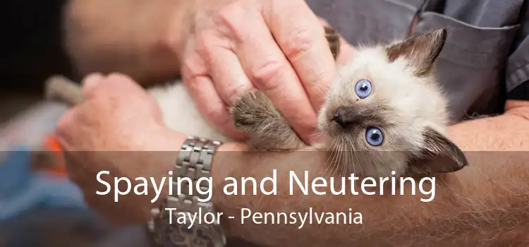 Spaying and Neutering Taylor - Pennsylvania