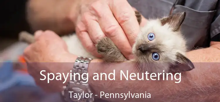 Spaying and Neutering Taylor - Pennsylvania