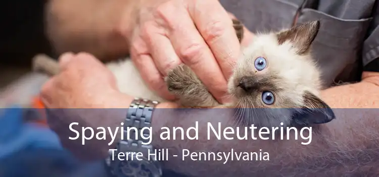 Spaying and Neutering Terre Hill - Pennsylvania