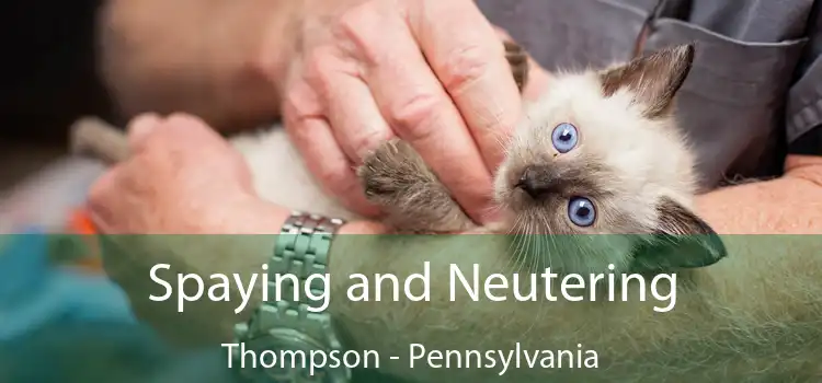Spaying and Neutering Thompson - Pennsylvania