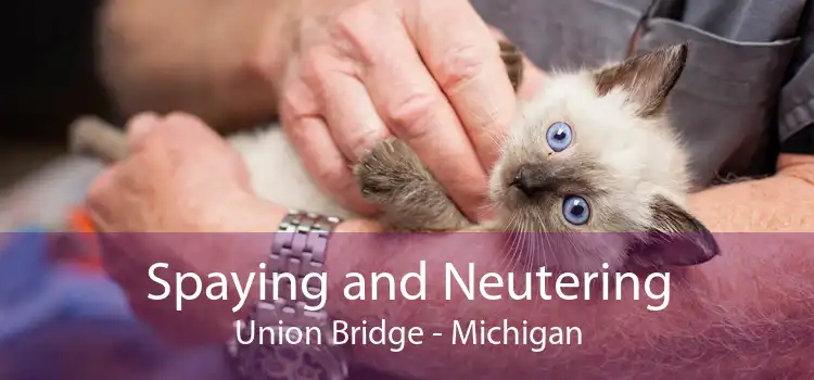 Spaying and Neutering Union Bridge - Michigan