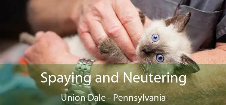 Spaying and Neutering Union Dale - Pennsylvania