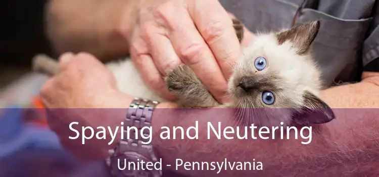Spaying and Neutering United - Pennsylvania