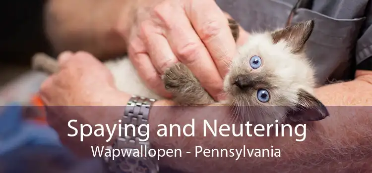 Spaying and Neutering Wapwallopen - Pennsylvania