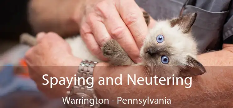 Spaying and Neutering Warrington - Pennsylvania