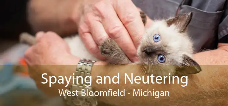 Spaying and Neutering West Bloomfield - Michigan