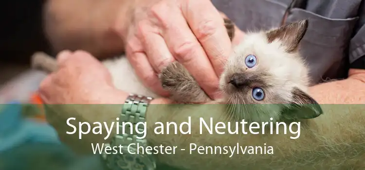 Spaying and Neutering West Chester - Pennsylvania