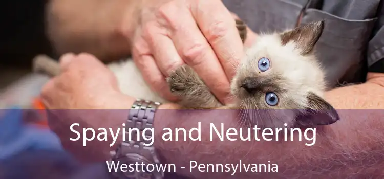 Spaying and Neutering Westtown - Pennsylvania