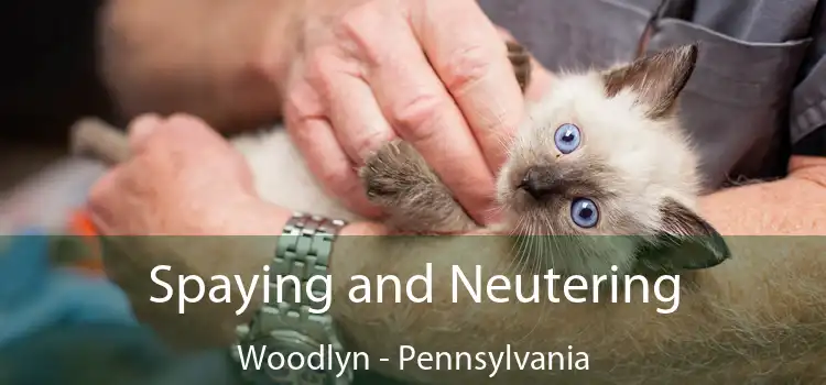 Spaying and Neutering Woodlyn - Pennsylvania